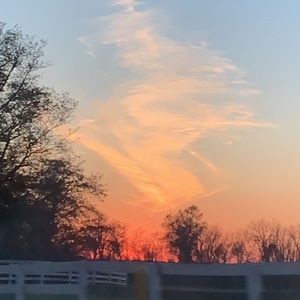 Meet your Posher, Callie